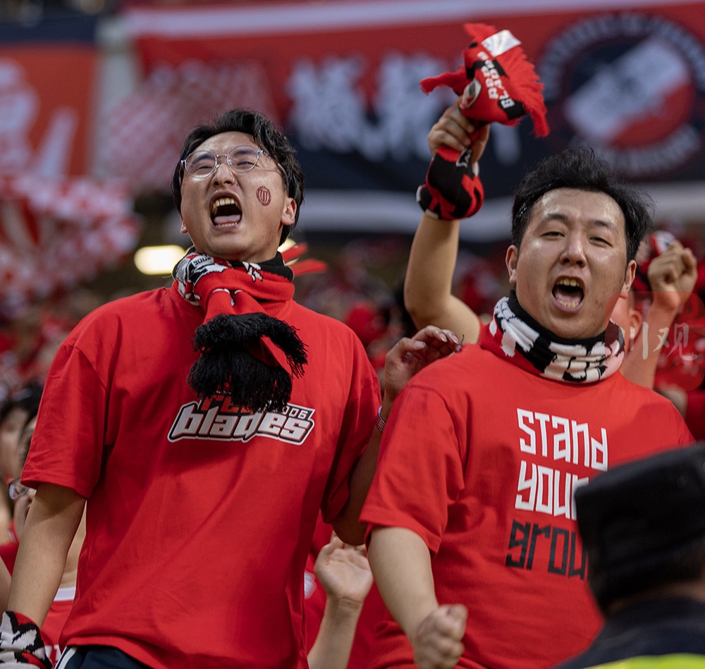 现场球迷全情投入，为球队加油助威的简单介绍