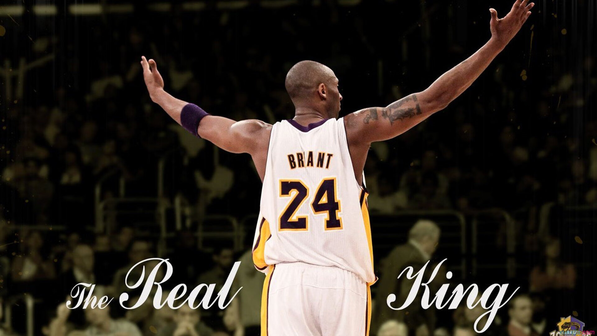 骑士关键战突围森林狼，拉梅洛·鲍尔化身关键先生引领逆转